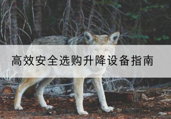 南明升降货梯厂家推荐-*安全选购升降设备指南