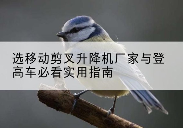 南明电动升降机厂家-选移动剪叉升降机厂家与登高车必看实用指南